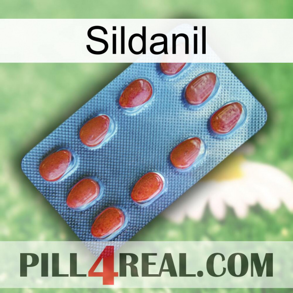 Sildanil 06.jpg